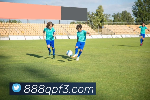 互动解说服务